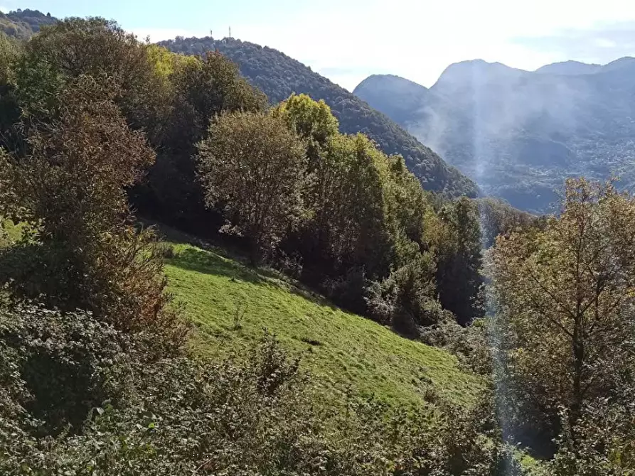 Immagine 5 di Terreno edificabile in vendita  in Via San Fedele a Blessagno