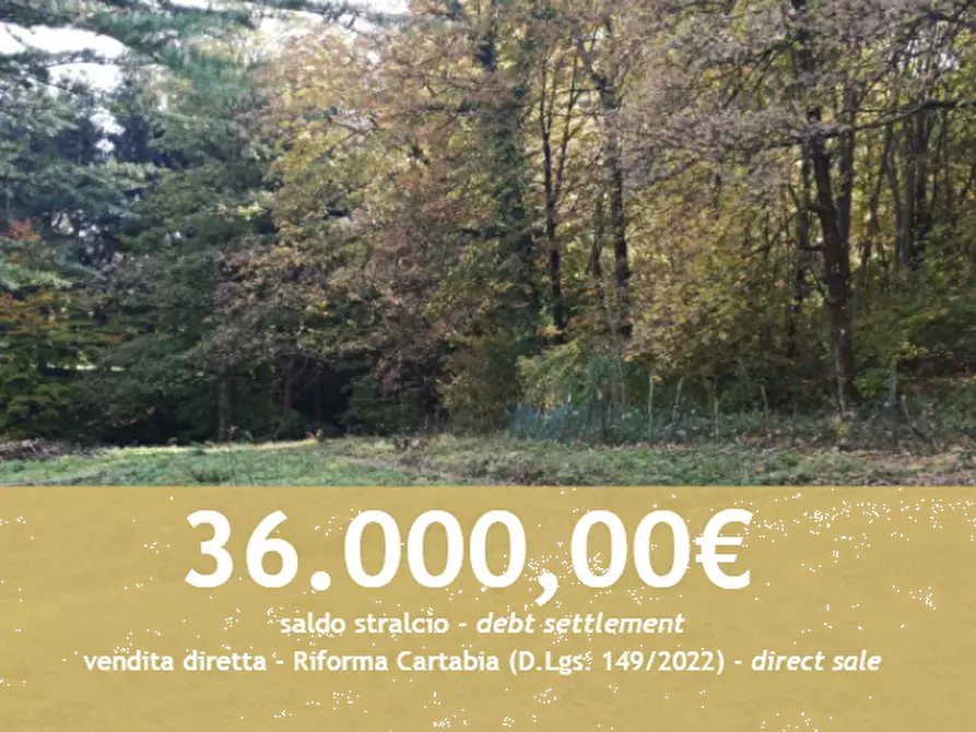 Immagine 1 di Terreno agricolo in vendita  in Via Ticino a Alta Valle Intelvi