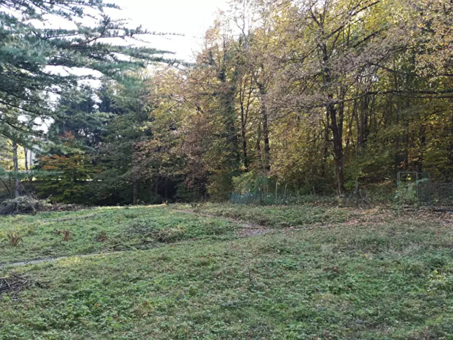Immagine 2 di Terreno agricolo in vendita  in Via Ticino a Alta Valle Intelvi