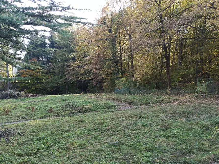 Immagine 3 di Terreno agricolo in vendita  in Via Ticino a Alta Valle Intelvi