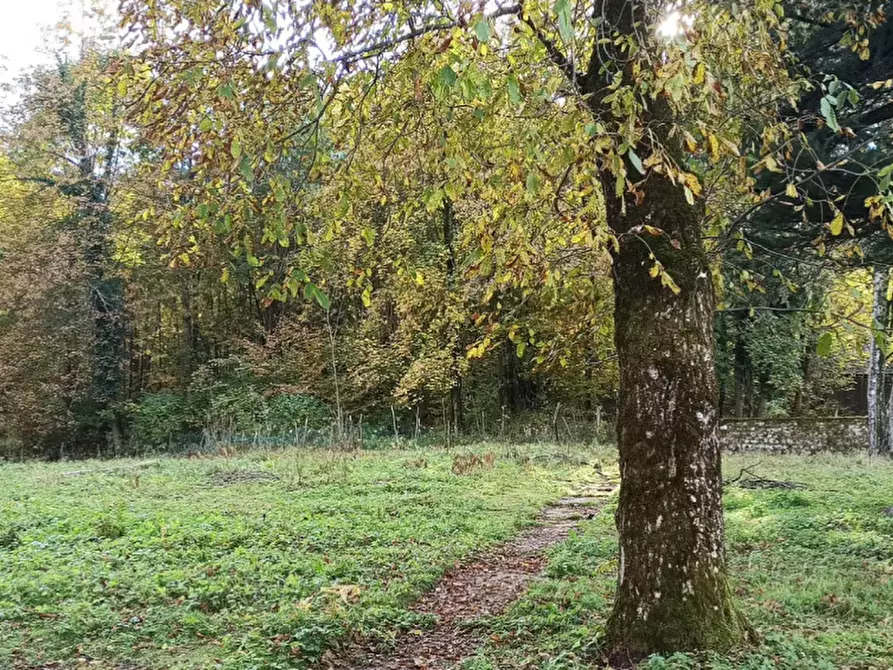 Immagine 5 di Terreno agricolo in vendita  in Via Ticino a Alta Valle Intelvi