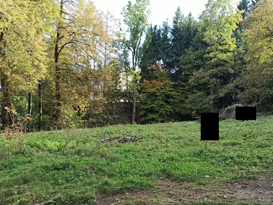 Immagine 6 di Terreno agricolo in vendita  in Via Ticino a Alta Valle Intelvi