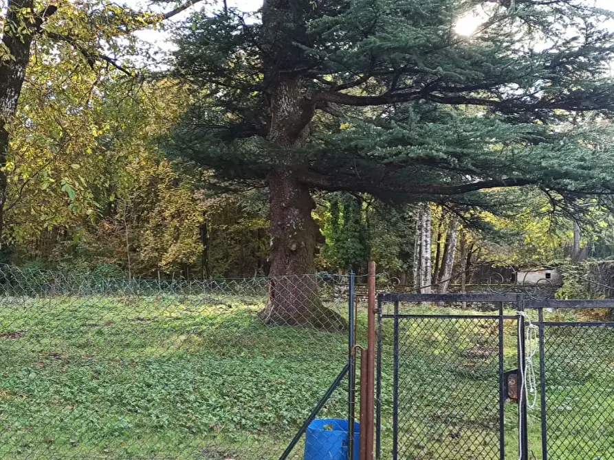 Immagine 8 di Terreno agricolo in vendita  in Via Ticino a Alta Valle Intelvi