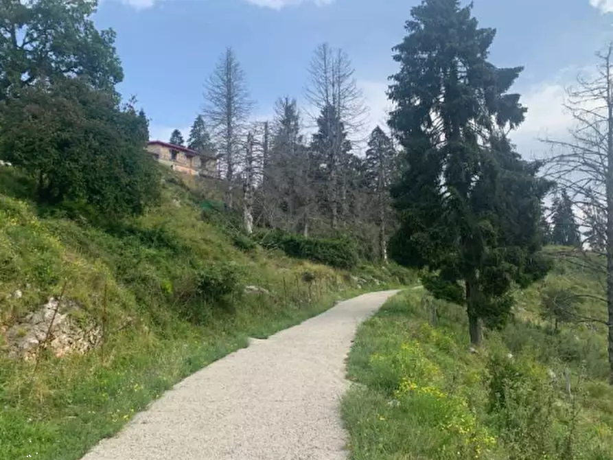 Immagine 8 di Terreno edificabile in vendita  in Via degli Scaligeri a Caltrano