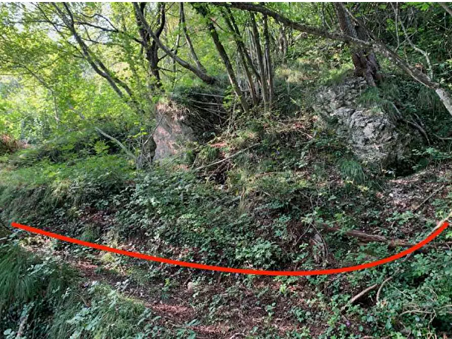 Immagine 9 di Terreno edificabile in vendita  in Via degli Scaligeri a Caltrano