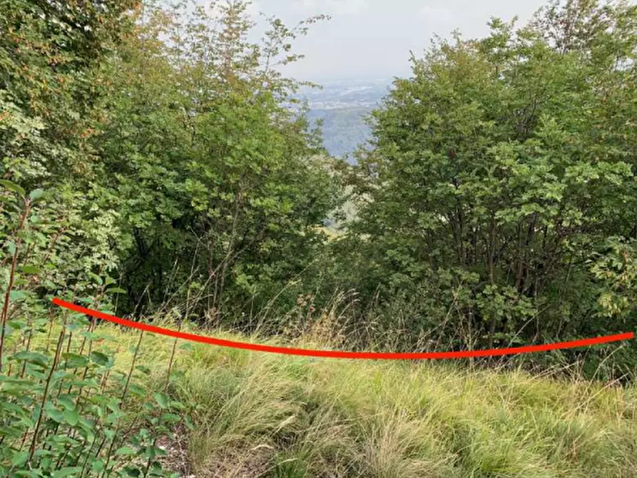 Immagine 10 di Terreno edificabile in vendita  in Via degli Scaligeri a Caltrano