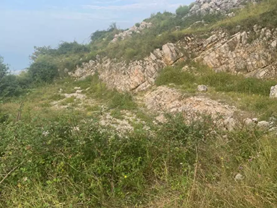 Immagine 15 di Terreno edificabile in vendita  in Via degli Scaligeri a Caltrano