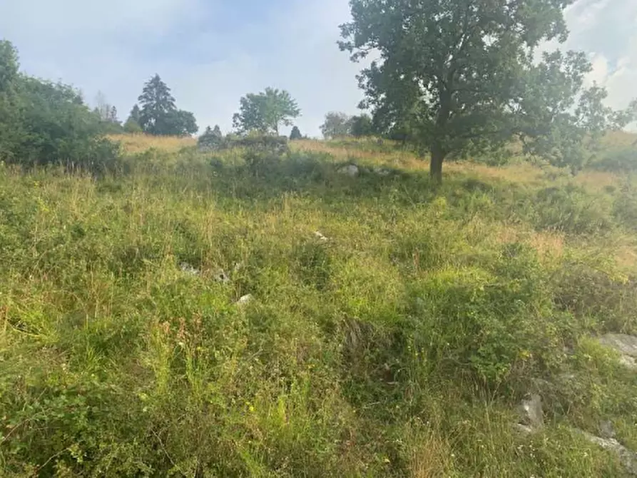 Immagine 16 di Terreno edificabile in vendita  in Via degli Scaligeri a Caltrano
