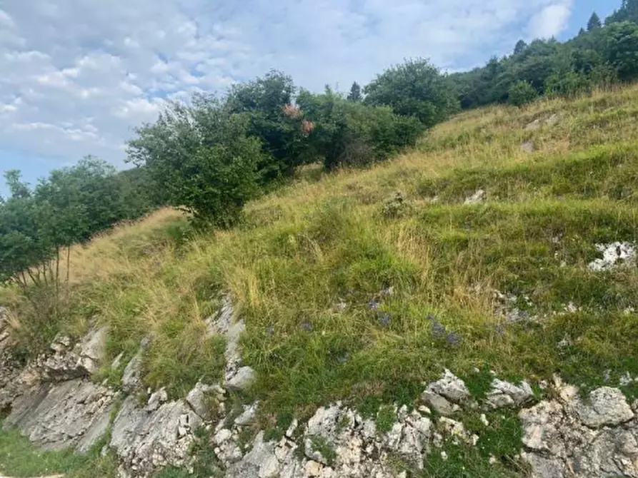 Immagine 18 di Terreno edificabile in vendita  in Via degli Scaligeri a Caltrano