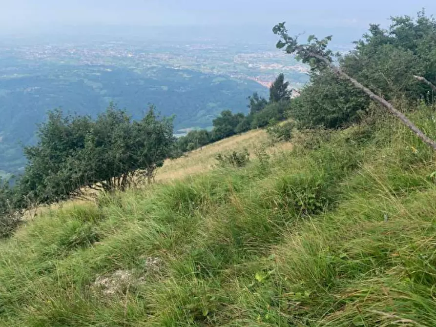 Immagine 20 di Terreno edificabile in vendita  in Via degli Scaligeri a Caltrano
