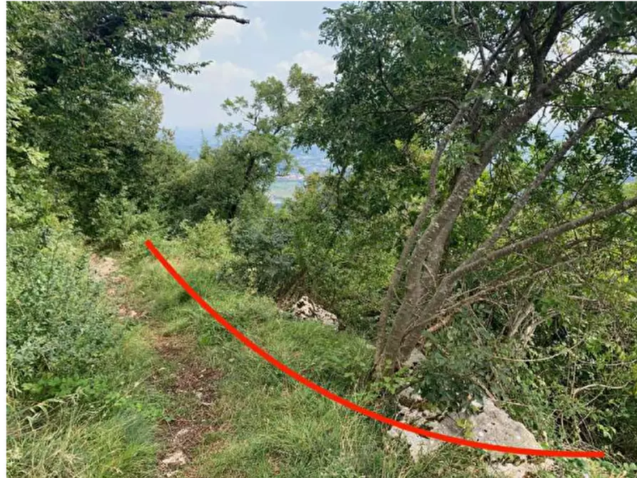 Immagine 23 di Terreno edificabile in vendita  in Via degli Scaligeri a Caltrano