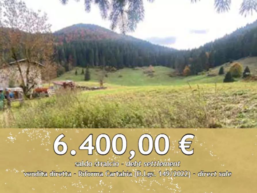 Immagine 1 di Terreno agricolo in vendita  in campomezzavia a Lusiana Conco