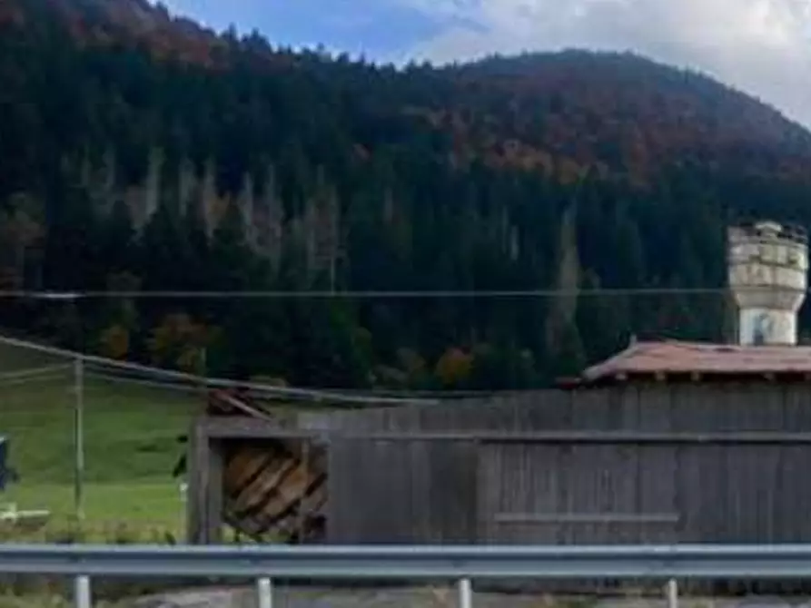 Immagine 4 di Terreno agricolo in vendita  in campomezzavia a Lusiana Conco