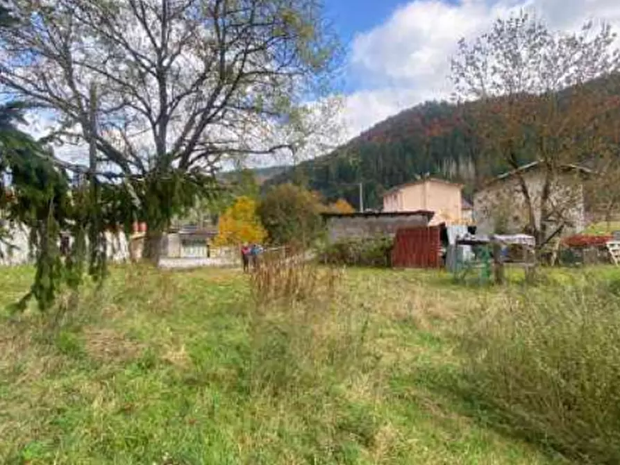 Immagine 8 di Terreno agricolo in vendita  in campomezzavia a Lusiana Conco