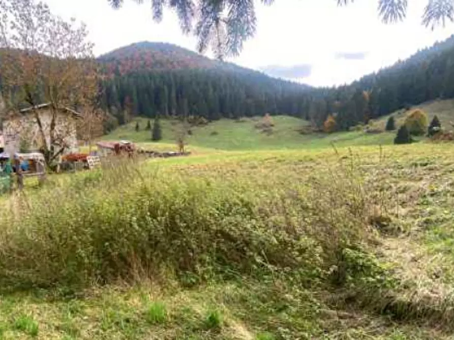 Immagine 12 di Terreno agricolo in vendita  in campomezzavia a Lusiana Conco