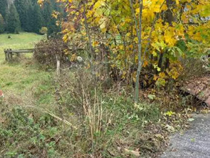 Immagine 14 di Terreno agricolo in vendita  in campomezzavia a Lusiana Conco