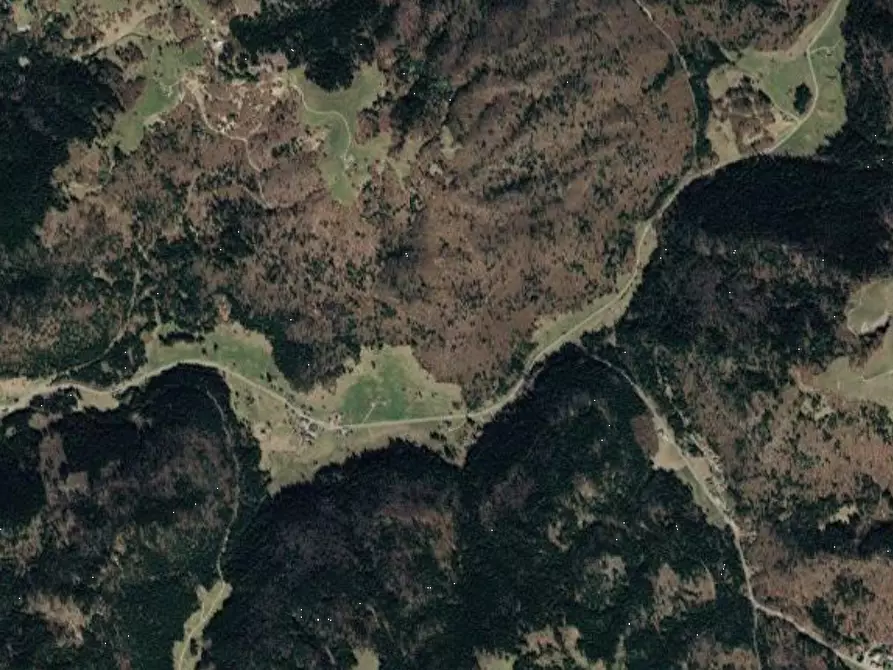 Immagine 16 di Terreno agricolo in vendita  in campomezzavia a Lusiana Conco