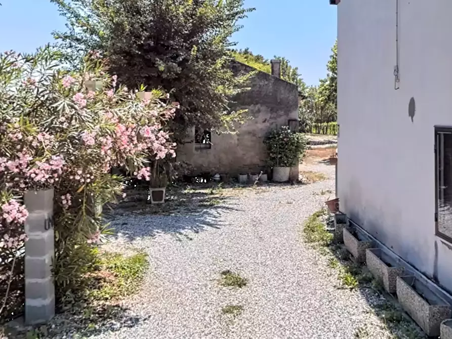Immagine 8 di Porzione di casa in vendita  in Via Suppiavento a Bonavigo
