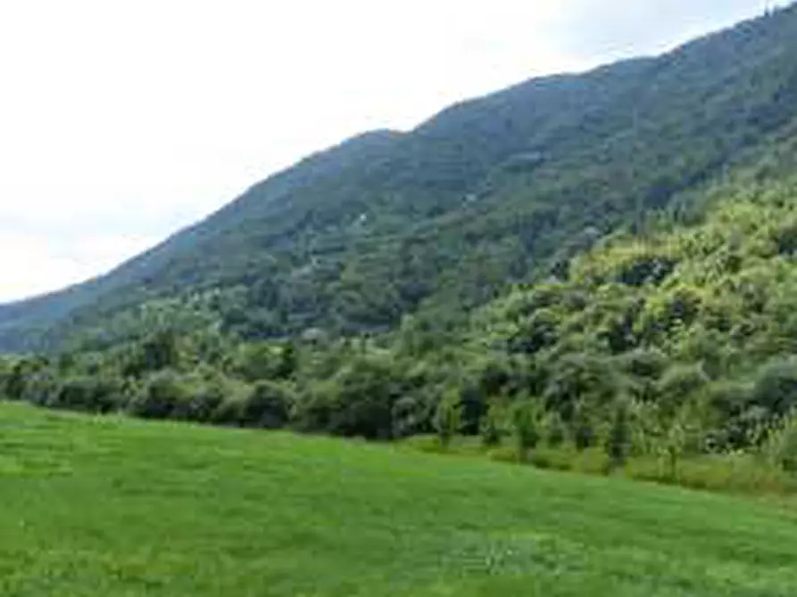 Immagine 1 di Terreno agricolo in vendita  in via Guizza a Seren Del Grappa