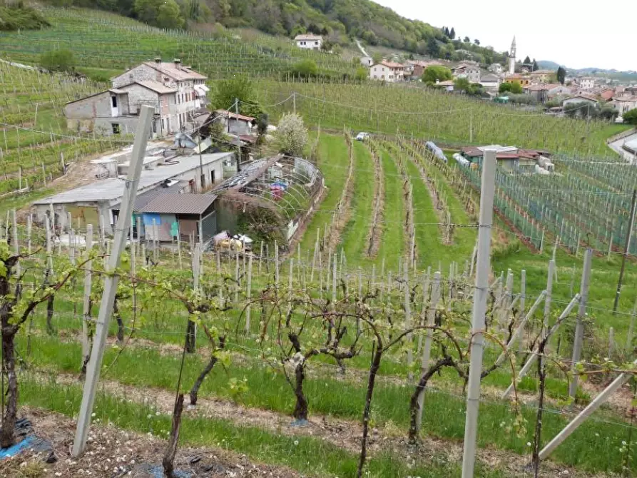 Immagine 1 di Terreno agricolo in vendita  in Località San Vito a Valdobbiadene