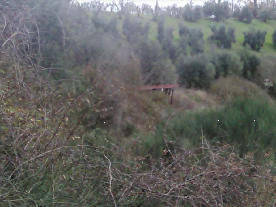 Immagine 1 di Terreno agricolo in vendita  in Località Voltiggiano a Montespertoli