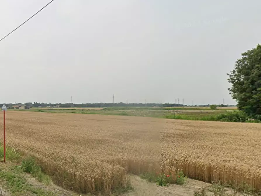 Immagine 1 di Terreno agricolo in vendita  in Via Murazze a Porto Viro