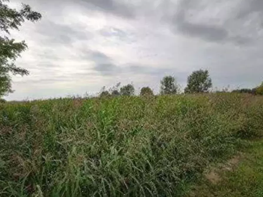 Immagine 1 di Terreno agricolo in vendita  in Frazione Ovanengo a Orzinuovi