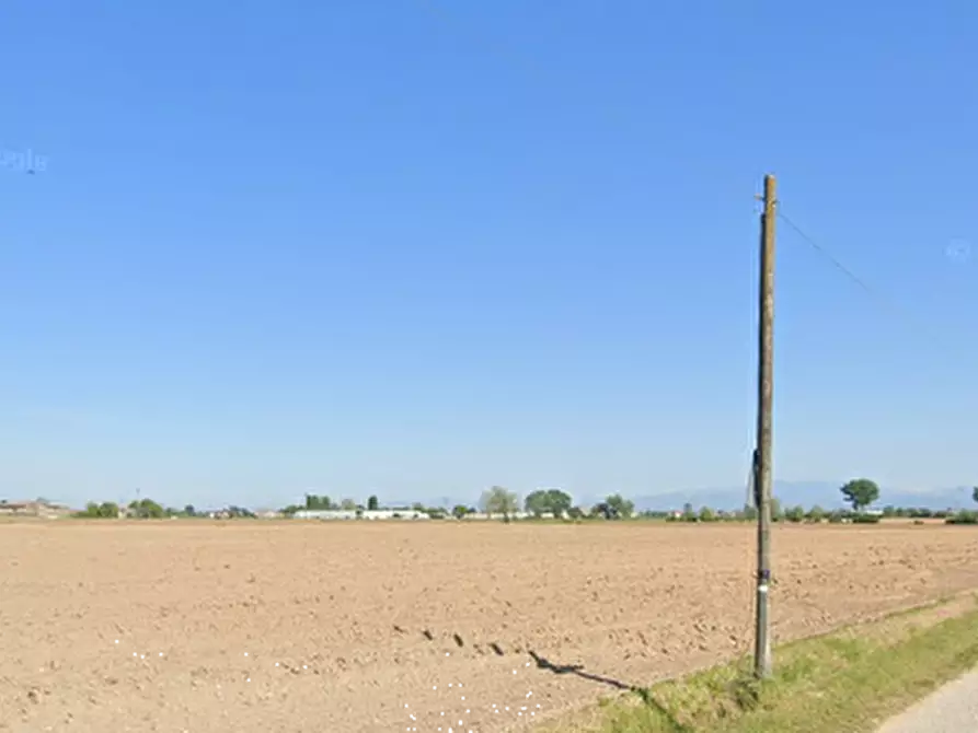 Immagine 1 di Terreno agricolo in vendita  in Località Salizzole a Salizzole