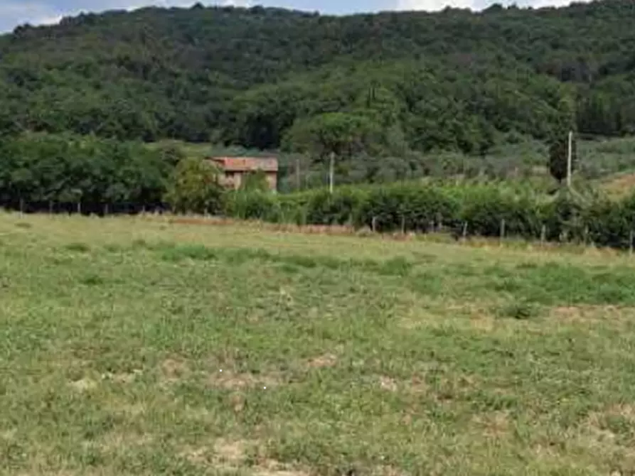 Immagine 1 di Terreno agricolo in vendita  in Località Figline e Incisa Valdarno a Figline Valdarno