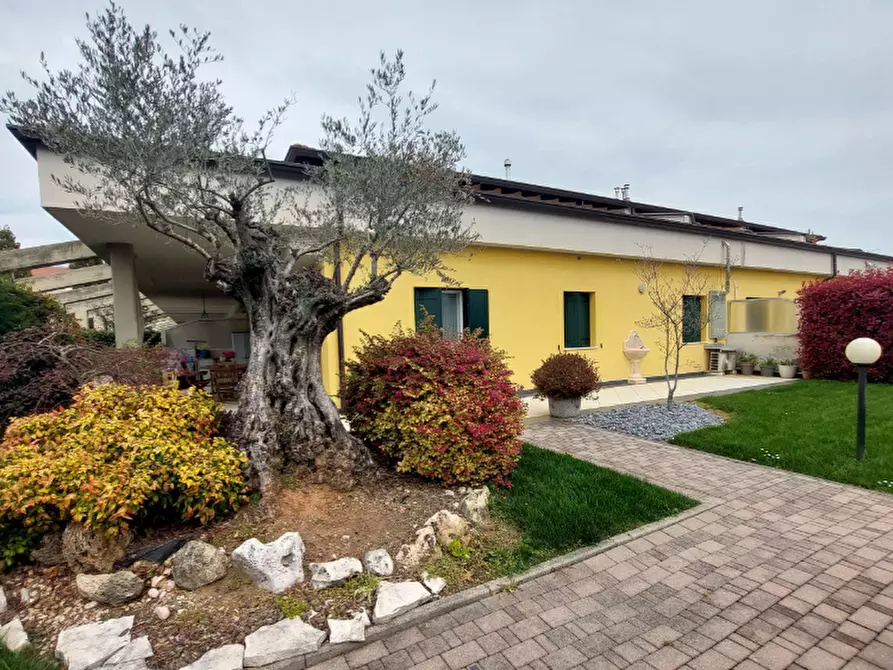 Immagine 1 di Appartamento in vendita  in Via Valconis a San Daniele Del Friuli