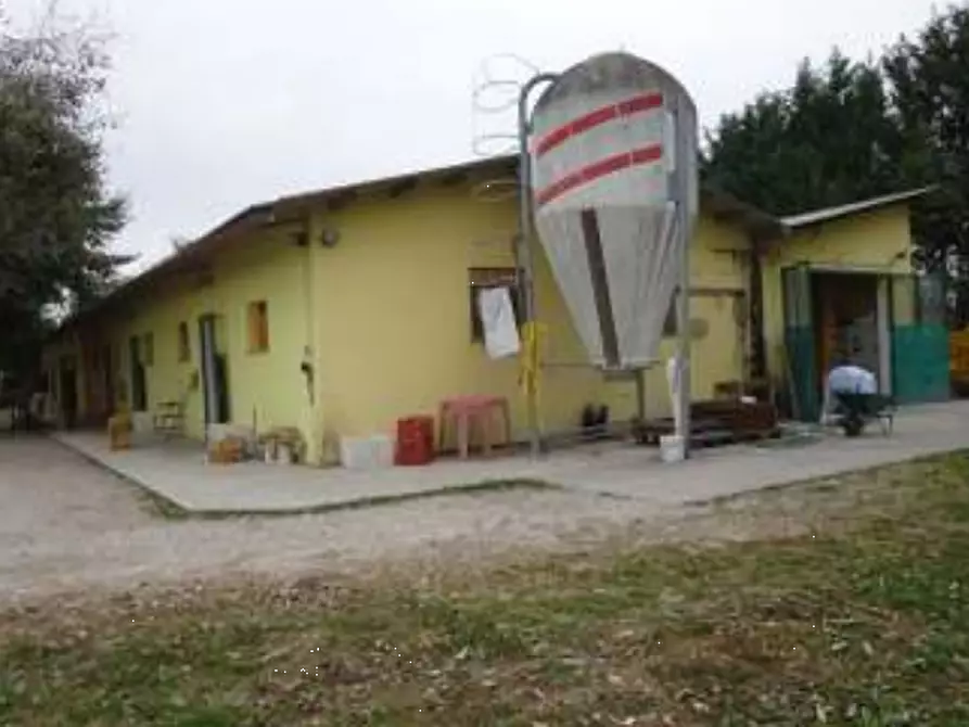 Immagine 1 di Azienda agricola in vendita  in Via Marango a Concordia Sagittaria