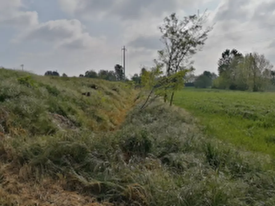 Immagine 1 di Terreno agricolo in vendita  in  Via Dossi a Pontevico