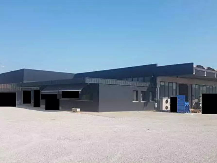 Immagine 1 di Capannone industriale in vendita  in via G. Ferraris a Badia Polesine