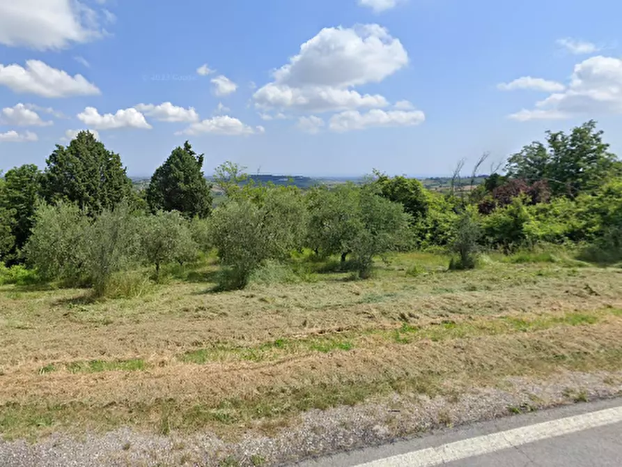 Immagine 1 di Terreno agricolo in vendita  in Via Monte Olivo a Coriano