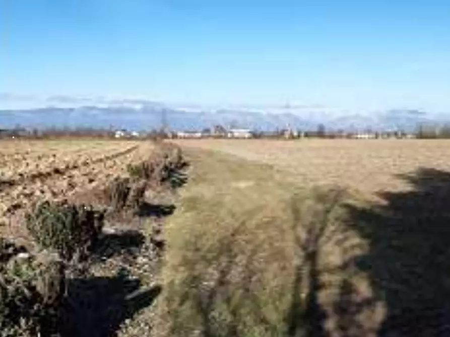 Immagine 1 di Terreno agricolo in vendita  in via Aquileia a Fiume Veneto