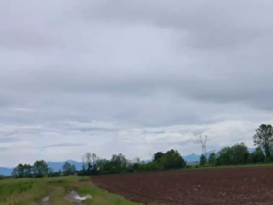 Immagine 1 di Terreno agricolo in vendita  in  via Santa Maria a Lestizza