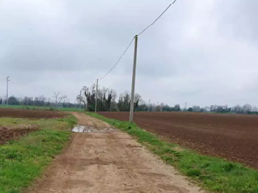 Immagine 1 di Terreno agricolo in vendita  in Via Casali a Lestizza