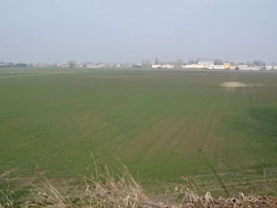 Immagine 1 di Terreno agricolo in vendita  in Via Masetti a Badia Polesine