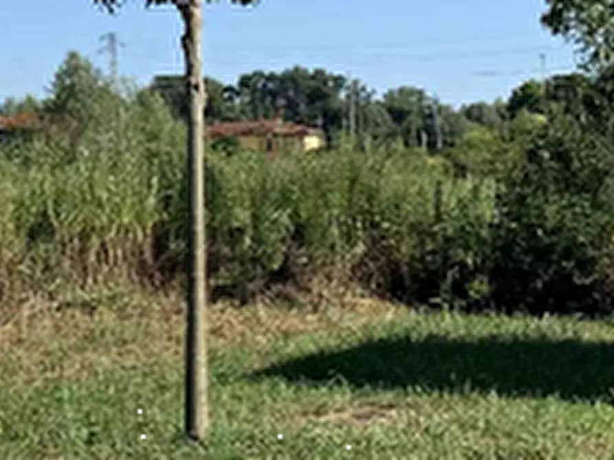 Immagine 1 di Terreno agricolo in vendita  in Via Musile a Pordenone