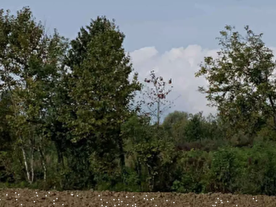 Immagine 1 di Terreno agricolo in vendita  in Località Pordenone a Pordenone