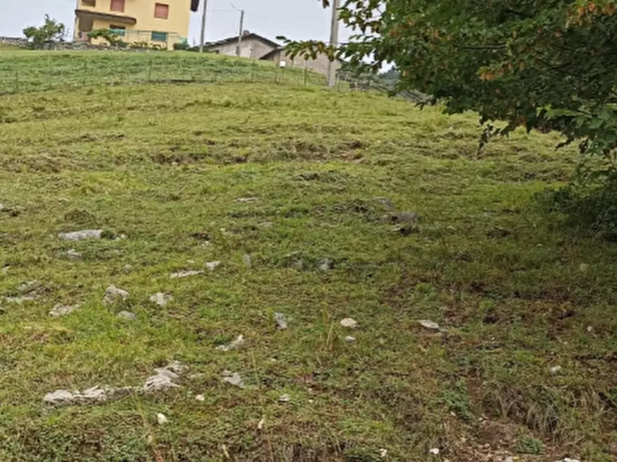 Immagine 1 di Terreno agricolo in vendita  in Via Centro a Zogno
