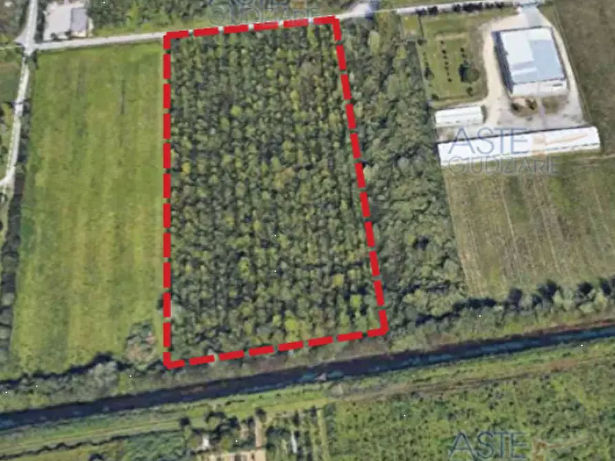 Immagine 1 di Terreno agricolo in vendita  in Via Fornaci a Pordenone