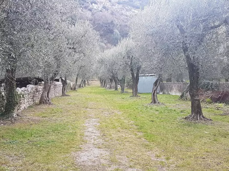 Immagine 1 di Terreno agricolo in vendita  in via Navene Vecchia a Malcesine