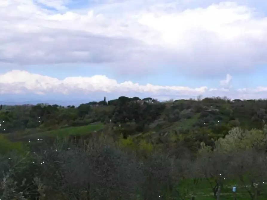 Immagine 1 di Terreno agricolo in vendita  in via Poggio Pini a Empoli