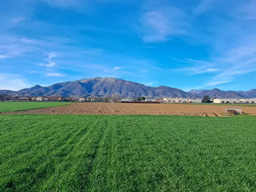 Immagine 1 di Terreno agricolo in vendita  in Località Volpera a Mapello