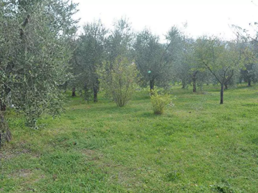 Immagine 1 di Terreno agricolo in vendita  in  via Vella a Prato