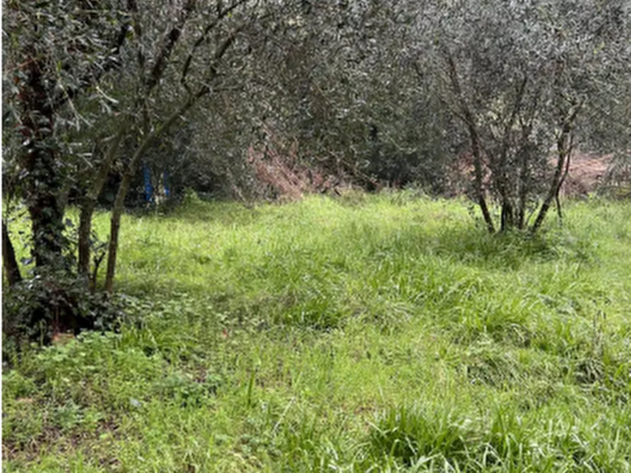 Immagine 1 di Terreno agricolo in vendita  in Via delle Cappelle a Sesto Fiorentino