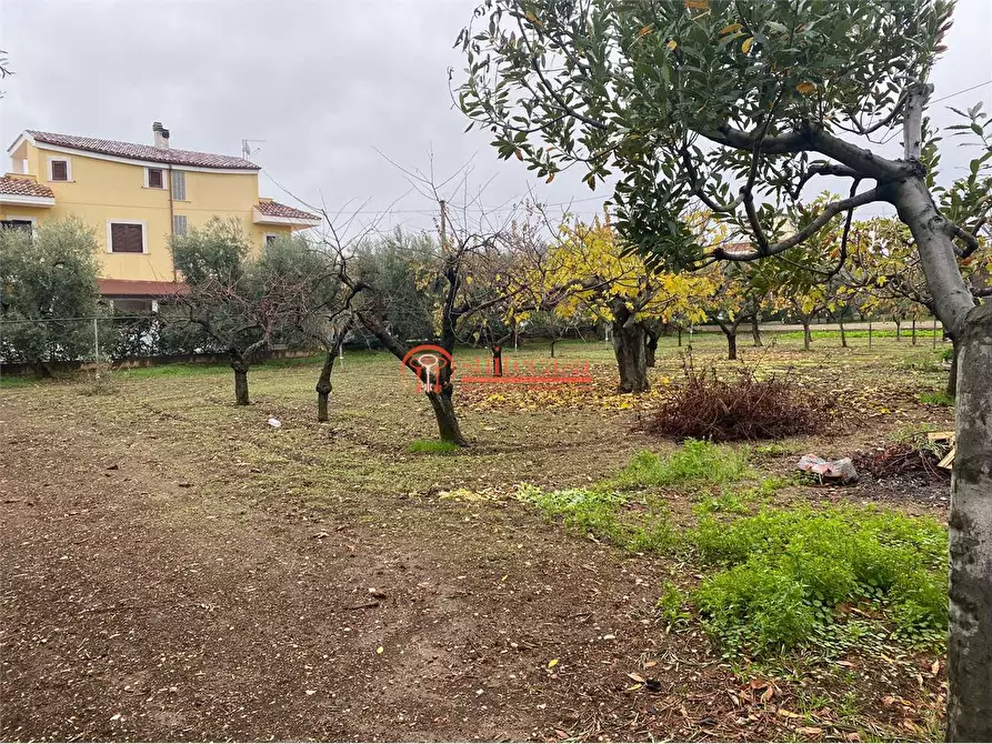 Immagine 3 di Terreno edificabile in vendita  in vicinale via Vecchia Trani-Corato a Trani