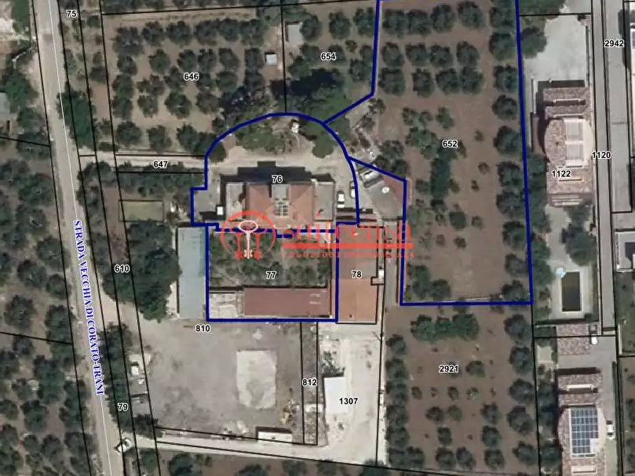 Immagine 8 di Terreno edificabile in vendita  in vicinale via Vecchia Trani-Corato a Trani