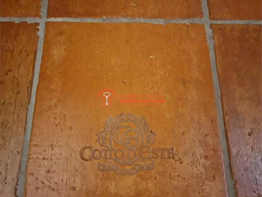 Immagine 36 di Villa in vendita  in Via Martiri di Palermo a Trani